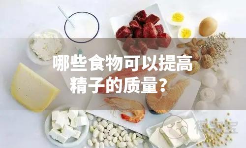 男人吃啥提高精子质量？精子质量对怀孕的影响有哪些？