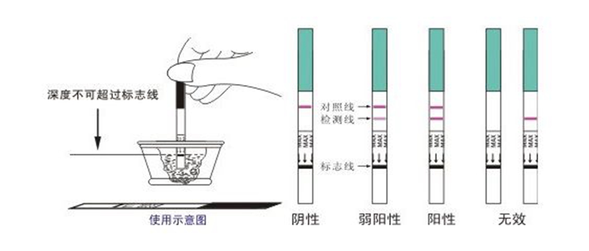 早孕试纸使用方法