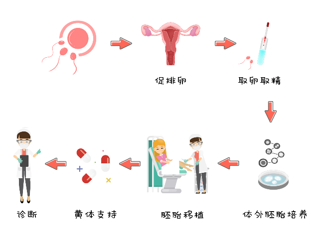 解析试管婴儿：过程与要点全知道