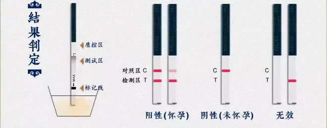 一元试纸和15元验孕棒的区别