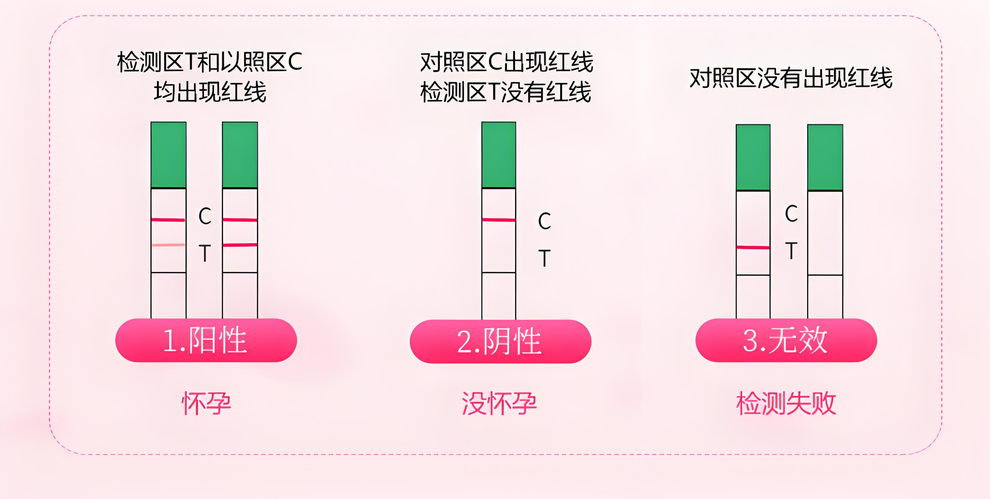 揭秘大卫早孕试纸5-15分钟等待时间的科学原理与重要性