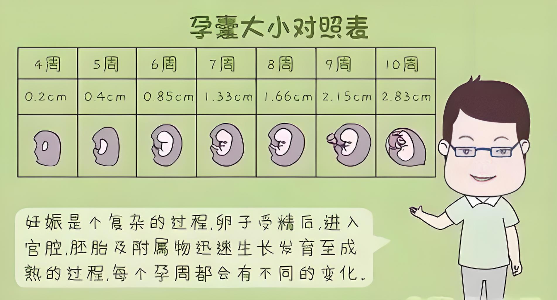 【权威发布】孕囊与胎芽大小对照表：孕期健康监测的重要参考